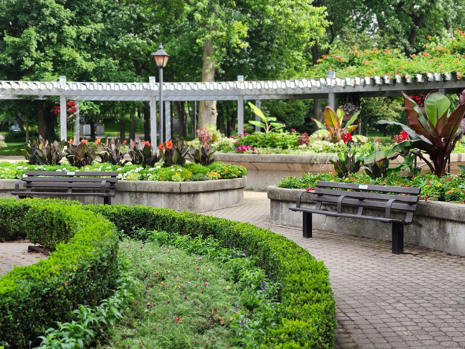 Artificial and Natural Turf