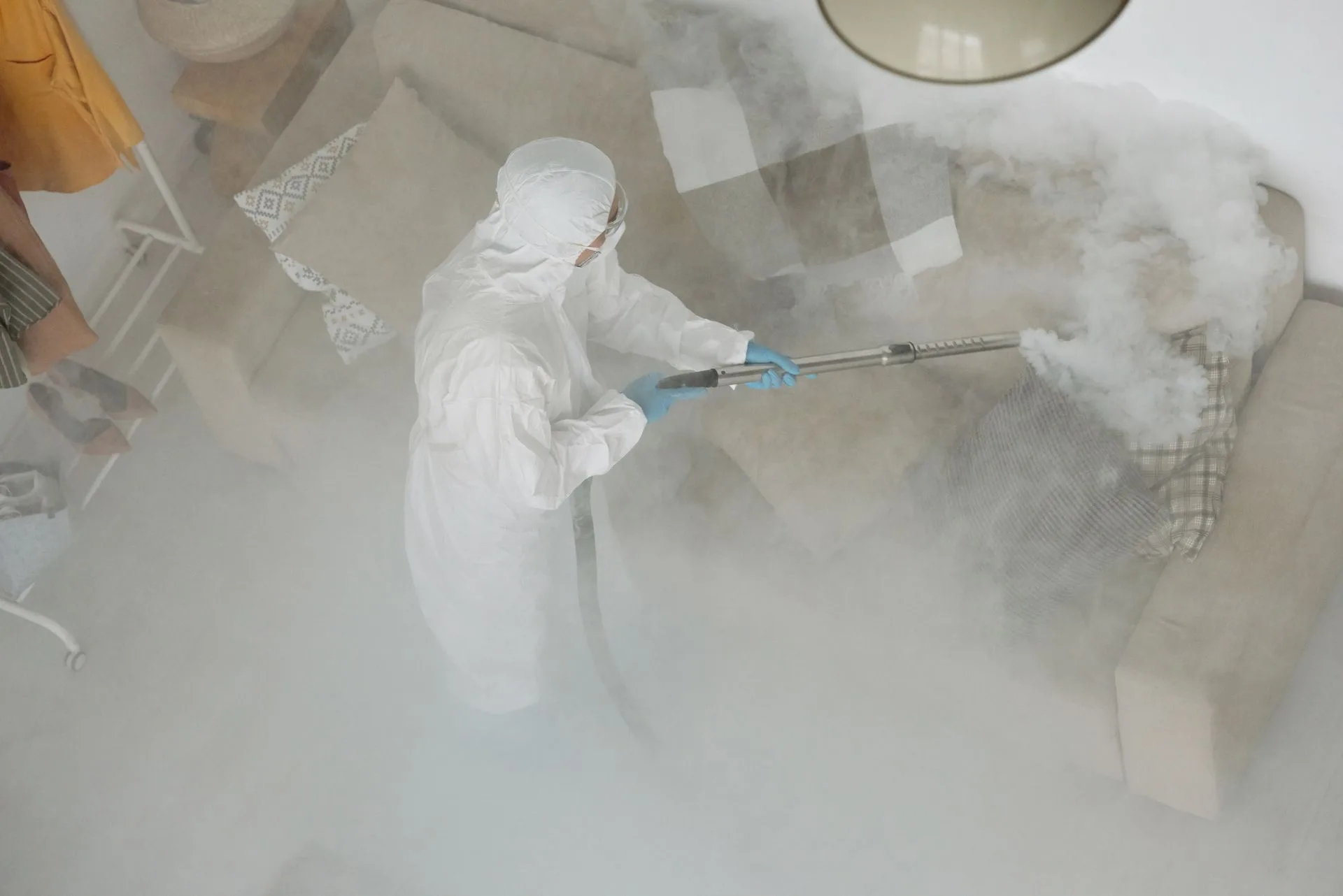 Mold Removal and Remediation
